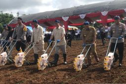Polda Banten bantu dan tanam 64.875 kilogram bibit jagung di Lebak