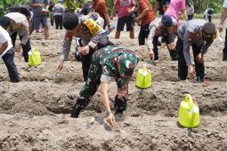 TNI dan Polri tanam jagung demi swasembada pangan di Gianyar