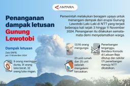 Penanganan dampak letusan Gunung Lewotobi
