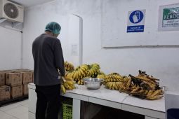 Pisang memiliki kandungan gizi berdasarkan tingkat kematangan