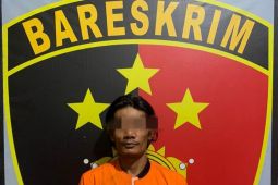 Polsek Indrapura bekuk pencuri profesional, barang bukti CCTV diamankan