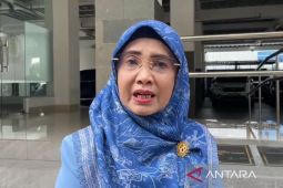 DPRD Banjarmasin: Pemkot harus ganti pohon "korban" perbaikan drainase