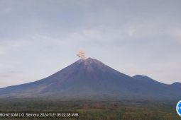 Semeru kembali alami erupsi dengan letusan setinggi 800 meter