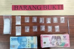Polisi bekuk ibu rumah tangga edarkan sabu-sabu