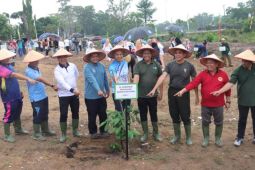 Pemprov Babel tanami buah lokal di 2,1 hektare lahan kritis