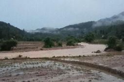 Tiga kabupaten di Sumatera Barat banjir, satu orang meninggal