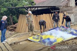 Ratusan APK di Balangan ditertibkan