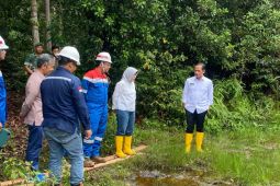 KLH minta percepatan pemulihan tanah terkontaminasi minyak di Tahura Riau