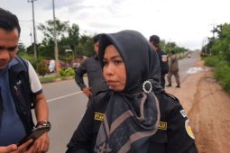 Bawaslu imbau kepala daerah kembali bertugas profesional usai kampanye