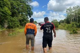 KPU Kapuas Hulu antisipasi 81 TPS rawan banjir