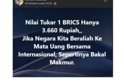 Brasil umumkan Indonesia sah menjadi anggota baru BRICS