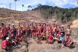 Transisi energi tanpa mengorbankan hutan Kalimantan