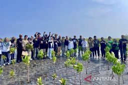 Universitas Lambung Mangkurat  gandeng Freeport restorasi mangrove