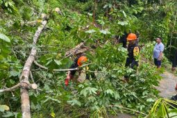 Brimob Polda Sumut tangani  material longsor di Pulau Nias