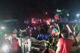 Dua orang tewas tertimpa pohon tumbang di Malang