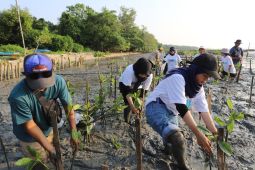 Dukungan warga Indonesia untuk aksi iklim tertinggi di dunia