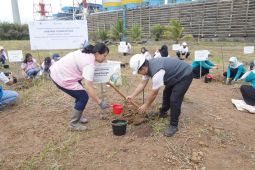 Srikandi PLN tanam 1.100 pohon di Asam Asam Tanah Laut