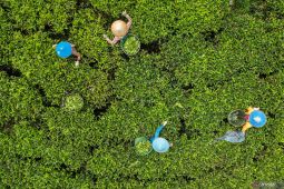 7 wisata hidden gem di Bandung layak dikunjungi!