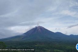 Semeru kembali alami erupsi dengan tinggi letusan hingga 800 meter
