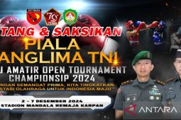 223 Petinju di seluruh Indonesia ikut Kejurnas tinju amatir Piala Panglima TNI di Ambon
