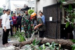 Penanganan pascabencana puting beliung di Surabaya masih berlangsung
