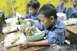 Anggota DPR usul "one day one fish" dalam Makan Bergizi Gratis
