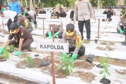 Polda Babel tanam ribuan bibit untuk dukung program ketahanan pangan
