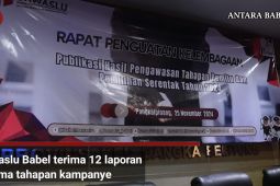 Bawaslu Babel terima 12 laporan selama tahapan kampanye