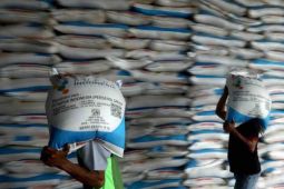Kemarin ekonomi, 6,6 juta penyaluran pupuk sampai UMR tak pengaruhi investasi