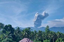 Gunung Dukono Halmahera Utara kembali erupsi