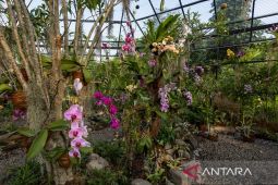 Nuanu Magic Garden lestarikan keanekaragaman hayati di Bali