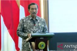 Pandjaitan signals economic alarm over Trump's protectionist policies