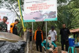 DMC Dompet Dhuafa dirikan Saung Konservasi Penyu di pesisir Pacitan