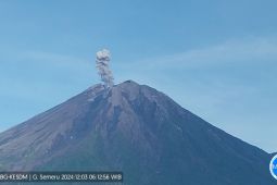 Selasa pagi, Semeru kembali erupsi terus menerus