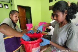 WWF Indonesia latih 30 warga Kampung Sereh Papua buat kompos limbah organik