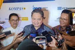 Airlangga: Darurat militer di Korsel jadi peluang bagi RI