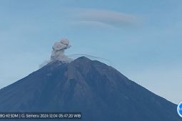 Gunung Semeru erupsi dengan amplitudo maksimum 22 mm