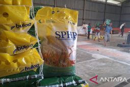 Bulog pastikan persediaan beras di Aceh cukup hingga Maret 2025