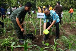 Gerakan sedekah oksigen di Madiun