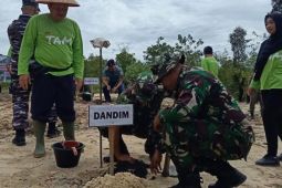 Kodim 0432 Bangka Selatan rehabilitasi 35 hektare lahan kritis di Desa Tiram