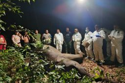 TN Way Kambas catat empat gajah mati sepanjang 2024