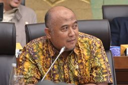 Komisi XII DPR RI apresiasi aplikasi PLN Mobile