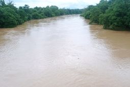 Warga di bantaran Sungai Ciujung Lebak siaga banjir