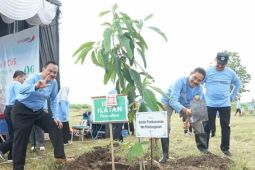 Pemkab Magetan targetkan ruang terbuka hijau capai 30 persen