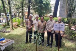 Kementerian LH gandeng UB optimalkan rehabilitasi lahan mangrove di lahan 600 ribu hektare