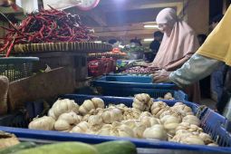 Harga pangan pada Sabtu, bawang putih naik Rp1.300 menjadi Rp43.200 per kg