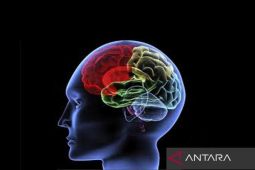 HCC: Pemerintah perlu tangani fenomena "overthinking" secara sistemik