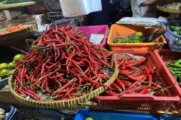 Harga pangan Minggu, mayoritas turun, cabai keriting Rp29.630/kg