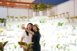 New orchid species from E Kalimantan showcased at FLOII Expo 2024