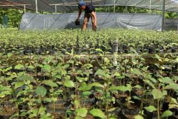 Sekda dorong plasma nutfah Aceh jadi komoditas unggul nasional